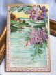 画像2: Postcard  　アンティークポストカード　水辺の風景　ライラックとクレマチスのお花　1908年 (2)