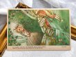 画像2: Postcard　アンティークポストカード　童話　眠り姫　Tornrosa　スウェーデン　（未使用） (2)