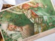 画像3: Postcard　アンティークポストカード　童話　眠り姫　Tornrosa　スウェーデン　（未使用） (3)