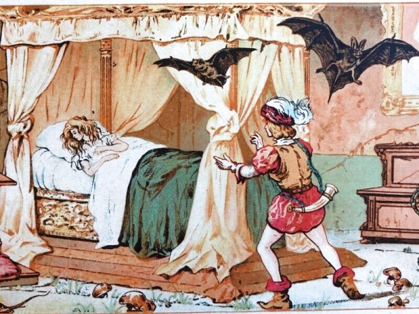 画像3: Postcard アンティークポストカード 童話 眠り姫 眠れる森の美女 キノコ   イタリア(未使用) (3)