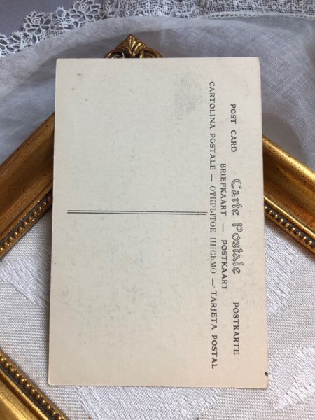 画像4: Postcard アンティークポストカード オペラ女優 Mile NAPIERKOWSKA (未使用) (4)