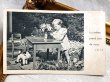 画像2: Postcard　アンティークポストカード　テリア犬のぬいぐるみと女の子 Steiff　シュタイフ　1944年 (2)