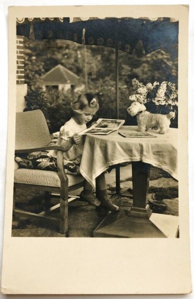 画像1: Postcard　アンティークポストカード　テリア犬のぬいぐるみと絵本を読む女の子　1945年　写真 (1)