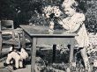 画像3: Postcard　アンティークポストカード　テリア犬のぬいぐるみと女の子 Steiff　シュタイフ　1944年 (3)