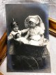 画像2: Postcard　アンティークポストカード　お人形さんと子どもたち　乳母車　ままごと遊び　1907年 (2)