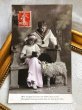画像2: Postcard    アンティークポストカード　羊とヤギと子どもたち　Grete Reinwald　フランス (2)