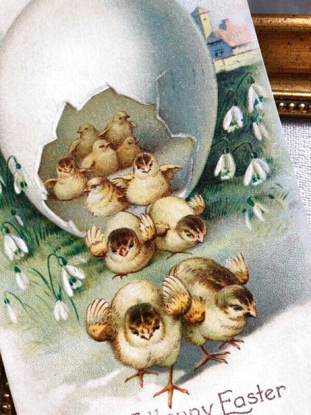 画像3: Postcard  アンティークポストカード　イースター　沢山生まれたよ！　ひよこ　Ellen Clapsaddle　アメリカ1909年 (3)