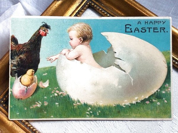 画像2: Postcard  アンティークポストカード イースター 卵から生まれた赤ちゃん ヒヨコ ニワトリ  (2)
