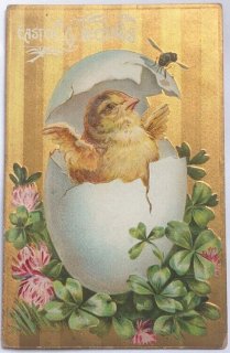 O42 北欧ヴィンテージ　アンティーク　レトロな絵葉書　ひよこ　動物 Snowdrop Postcards アンティークポストカード専門店