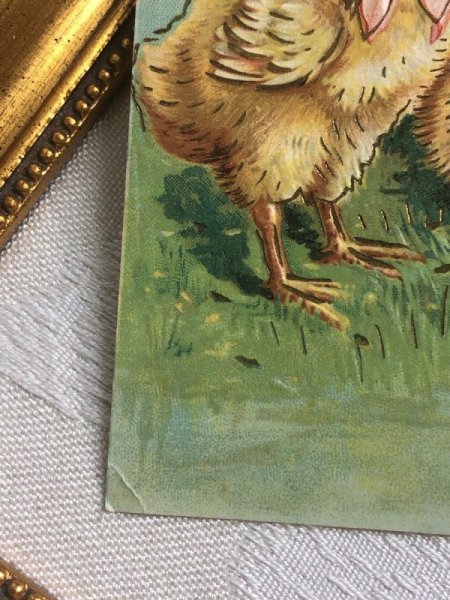 角に小さな折れあり