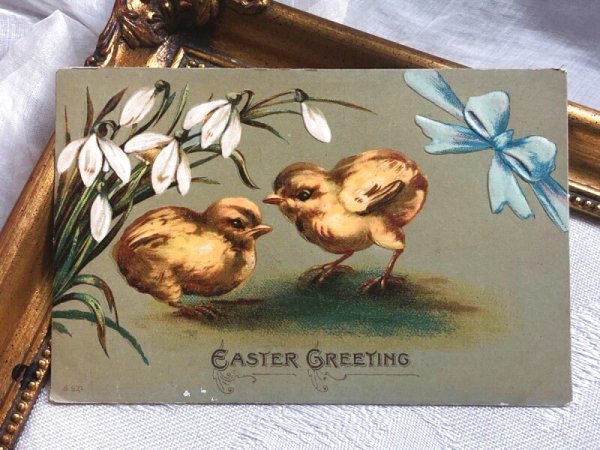 画像2: Postcard  アンティークポストカード イースター ヒヨコとスノードロップのお花 ひよこ  (2)