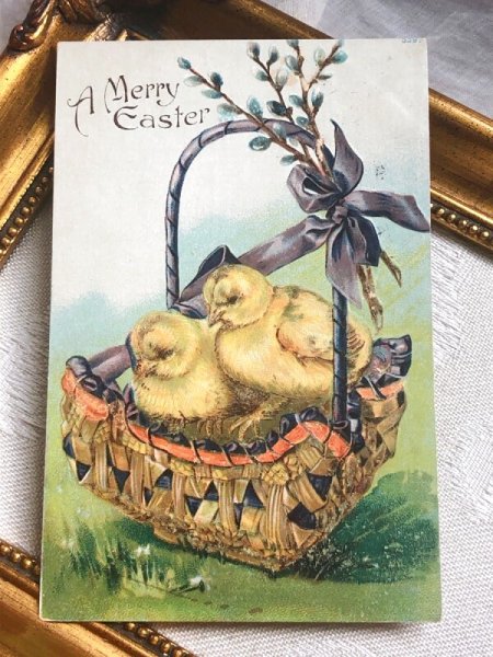 画像2: Postcard  アンティークポストカード　イースター　バスケットの中のヒヨコ　ひよこ　　アメリカ1907年 (2)