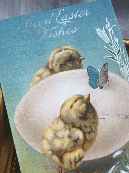 画像3: Postcard  アンティークポストカード　イースター　ヒヨコと卵　ひよこ　アメリカ1914年 (3)