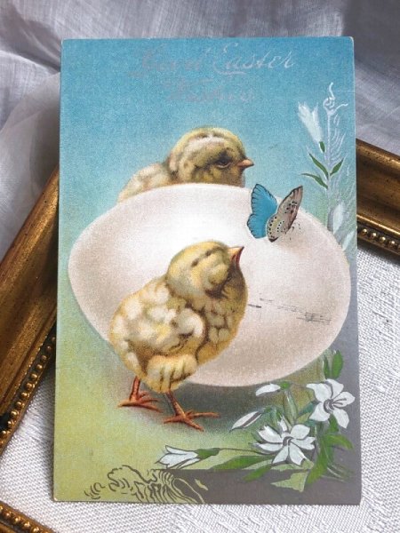 画像2: Postcard  アンティークポストカード　イースター　ヒヨコと卵　ひよこ　アメリカ1914年 (2)