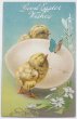 画像1: Postcard  アンティークポストカード　イースター　ヒヨコと卵　ひよこ　アメリカ1914年 (1)