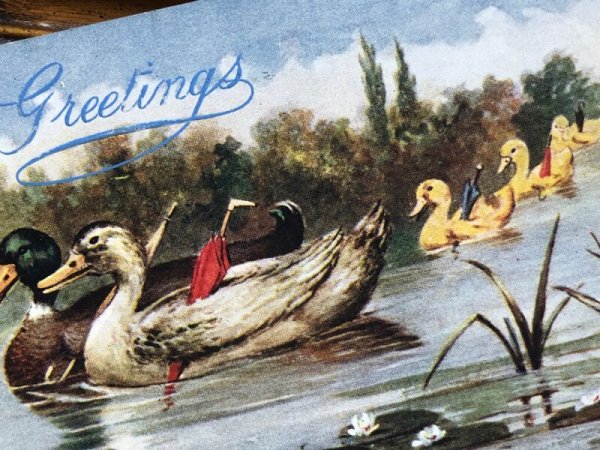 画像3: Postcard  アンティークポストカード　イースター　傘を持ってお出かけをするカルガモの親子　鴨　アメリカ1909年 (3)