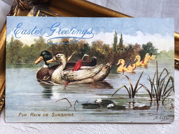 画像2: Postcard  アンティークポストカード　イースター　傘を持ってお出かけをするカルガモの親子　鴨　アメリカ1909年 (2)