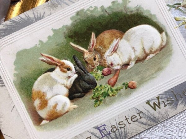 画像3: Postcard アンティークポストカード イースター うさぎさんと人参 ウサギ ラッパ水仙 Ellen Clapsaddle  (3)