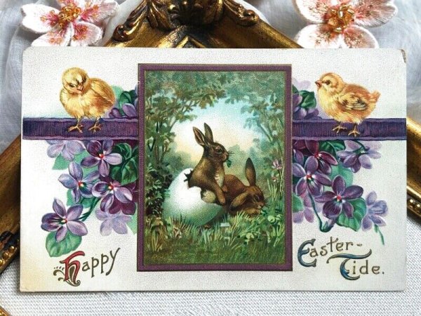 画像2: Postcard アンティークポストカード イースター 卵から生まれたウサギさん うさぎ ヒヨコ スミレ (2)