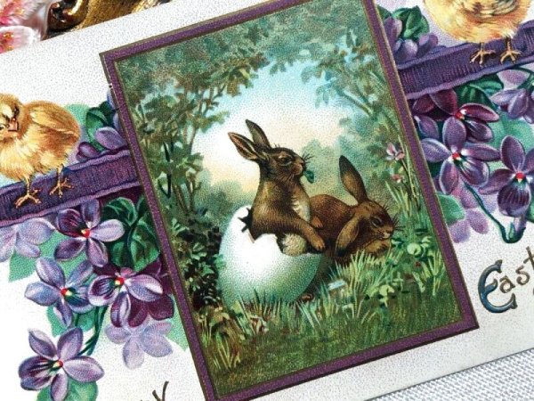 画像3: Postcard アンティークポストカード イースター 卵から生まれたウサギさん うさぎ ヒヨコ スミレ (3)