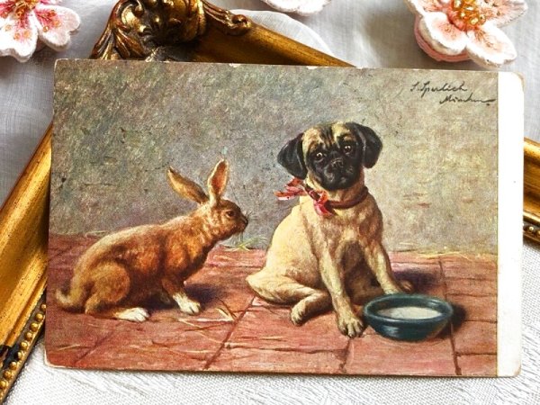 画像2: Postcard アンティークポストカード うさぎとパグ犬 ウサギ アメリカ1908年 (2)