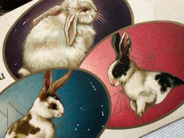 画像3: Postcard アンティークポストカード イースター うさぎ ダッチウサギ 卵 アメリカ1910年 (3)