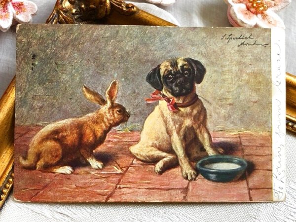 画像2: Postcard アンティークポストカード うさぎとパグ犬 ウサギ アメリカ1907年 (2)