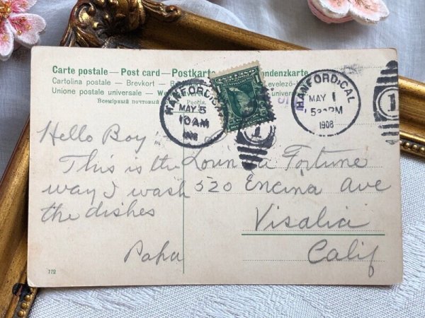 画像3: Postcard アンティークポストカード うさぎとパグ犬 ウサギ アメリカ1908年 (3)