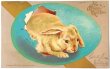 画像1: Postcard　アンティークポストカード　イースター　青い卵から生まれたウサギさん　うさぎ　アメリカ1907年 (1)