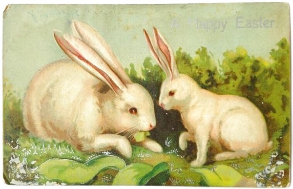 画像1: Postcard　アンティークポストカード　イースター　白いウサギの親子　うさぎ  　アメリカ1908年　 (1)