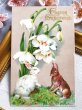 画像2: Postcard　アンティークポストカード　イースター　スノードロップのお花とウサギさん　うさぎ  　 (2)