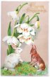 画像1: Postcard　アンティークポストカード　イースター　スノードロップのお花とウサギさん　うさぎ  　 (1)