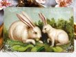 画像2: Postcard　アンティークポストカード　イースター　白いウサギの親子　うさぎ  　アメリカ1908年　 (2)