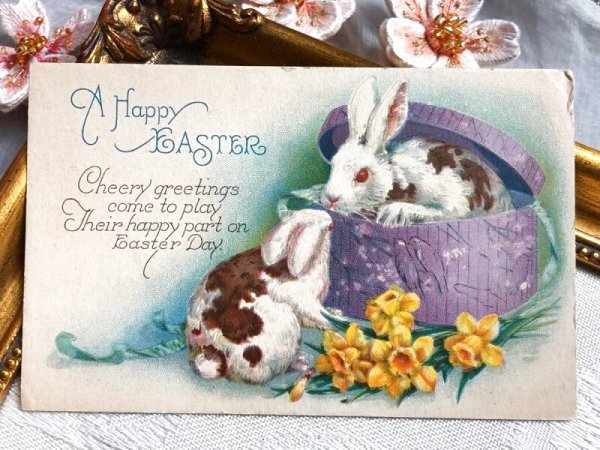 画像2: Postcard アンティークポストカード イースター 帽子箱とウサギさん うさぎ 水仙(未使用) (2)