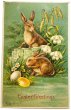 画像1: Postcard　アンティークポストカード　イースター　ウサギさんとスノードロップのお花　うさぎ　卵　アメリカ1908年 (1)
