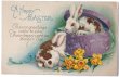 画像1: Postcard　アンティークポストカード　イースター　帽子箱とウサギさん　うさぎ　水仙（未使用） (1)