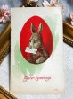 画像2: Postcard　アンティークポストカード　イースター　手紙とウサギさん　うさぎ　 (2)