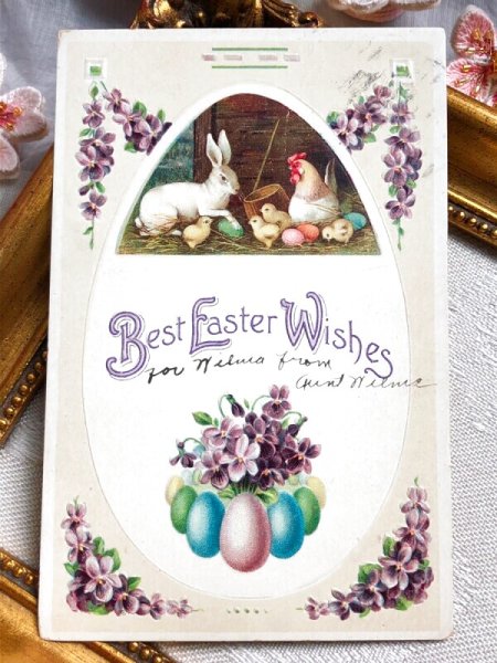 画像2: Postcard アンティークポストカード イースター ニワトリの親子とウサギさん うさぎ スミレ (2)