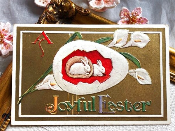 画像2: Postcard アンティークポストカード イースター 白いお花とウサギさん うさぎ カラー (未使用) (2)