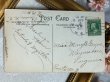 画像5: Postcard　アンティークポストカード　イースター　手紙とウサギさん　うさぎ　 (5)