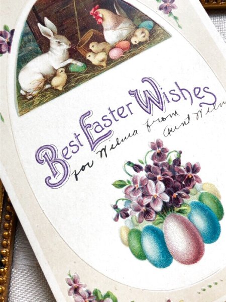 画像3: Postcard アンティークポストカード イースター ニワトリの親子とウサギさん うさぎ スミレ (3)