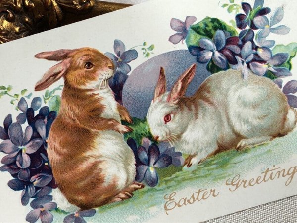 画像3: Postcard アンティークポストカード イースター スミレのお花とウサギさん うさぎ (3)