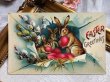 画像2: ▼SALE 500▼Postcard  　アンティークポストカード　イースター　卵とウサギさん　うさぎ　1904年 (2)