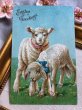 画像2: Postcard 　アンティークポストカード　イースター　2頭の子羊たち　 (2)