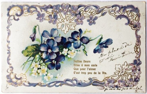 画像1: Postcard  　アンティークポストカード　スミレのお花　スイス1905年 (1)