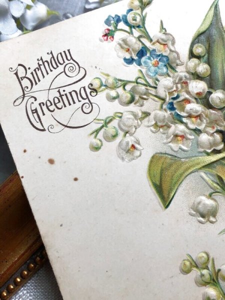 点々とした小さなシミあり