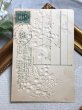 画像4: Postcard  　アンティークポストカード　スズランと忘れな草のお花　アメリカ1907年 (4)