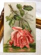 画像2: Postcard 　アンティークポストカード　薔薇のお花　アメリカ (2)