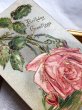 画像3: Postcard 　アンティークポストカード　薔薇のお花　アメリカ (3)