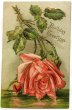 画像1: Postcard 　アンティークポストカード　薔薇のお花　アメリカ (1)